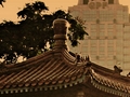 Sun Sets Over The Temple in Lumpini Park