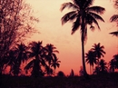 Nong Kor Siam Sunset